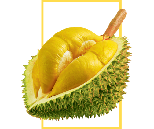 Durian_Center_Img-v2.png